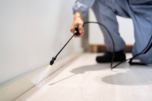 Licensed Pest Control service in Shinnston, WV - Show Me Pest Control