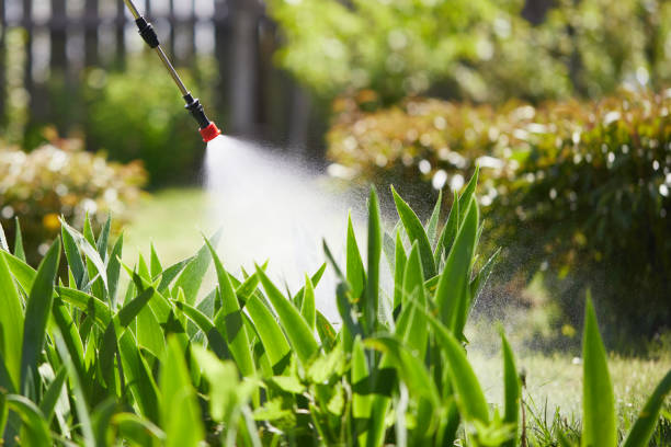 Tamper-Resistant Bait Stations for Rodents in Shinnston