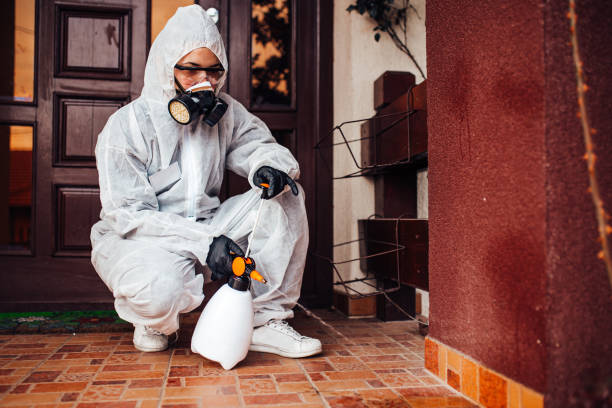 Attic and Crawl Space Rodent Treatment in Shinnston