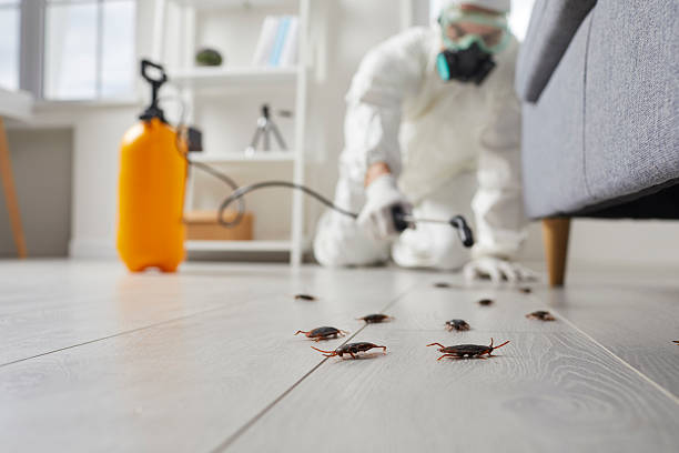 Commercial Rodent Management in Shinnston